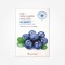 Skin Planet Daily Fresh Garden Mask Sheet (Blueberry)